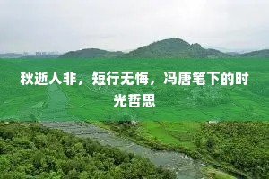 秋逝人非，短行无悔，冯唐笔下的时光哲思