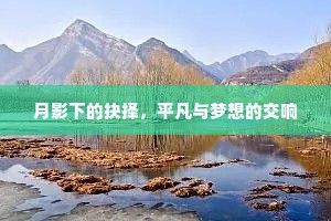 月影下的抉择，平凡与梦想的交响