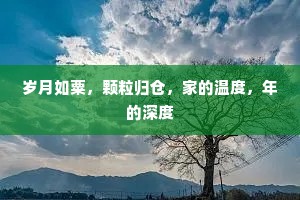 岁月如粟，颗粒归仓，家的温度，年的深度