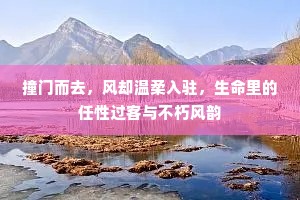 撞门而去，风却温柔入驻，生命里的任性过客与不朽风韵