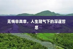 无悔非真章，人生赌气下的深邃哲思