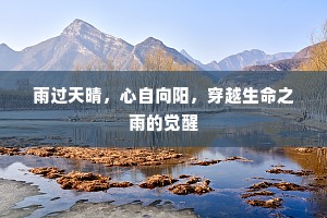 雨过天晴，心自向阳，穿越生命之雨的觉醒