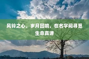 风铃之心，岁月回响，在名字间寻觅生命真谛