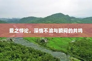 爱之悖论，深情不渝与瞬间的共鸣