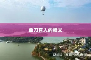 单刀直入的释义