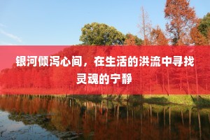 银河倾泻心间，在生活的洪流中寻找灵魂的宁静