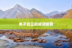 单孑独立的成语解释
