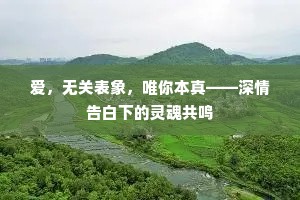 爱，无关表象，唯你本真——深情告白下的灵魂共鸣