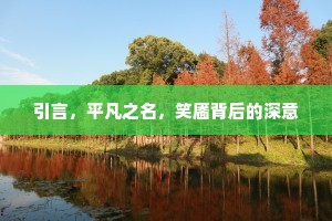 引言，平凡之名，笑靥背后的深意
