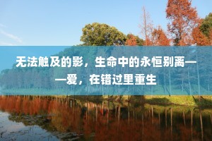 无法触及的影，生命中的永恒别离——爱，在错过里重生