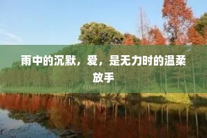 雨中的沉默，爱，是无力时的温柔放手