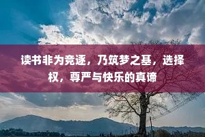 读书非为竞逐，乃筑梦之基，选择权，尊严与快乐的真谛