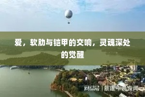 爱，软肋与铠甲的交响，灵魂深处的觉醒