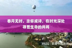 春月无时，念你成诗，在时光深处寻觅生命的共鸣