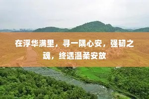 在浮华满里，寻一隅心安，强韧之魂，终遇温柔安放