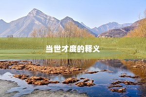 当世才度的释义