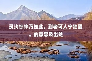 渺渺碧波连白云，期君不见重思君。的意思及出处