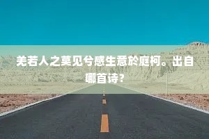 岂能无牴触，一笑幸吾宽。下一句是什么？