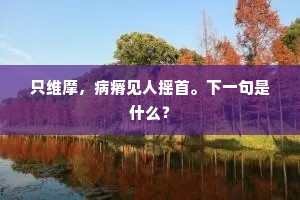 生心无住是南能，落叶归根挂葛藤。的释义