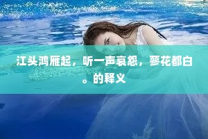 晓风坪石站，暮雨洞庭湖。的释义