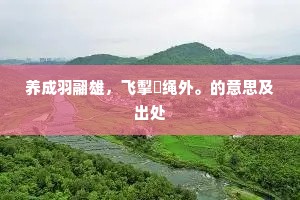 缓语不成声，含泪别兄嫂。全诗是什么？