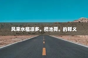 笑余同塞雁，去住总他乡。的解释