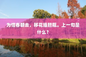 悲欢绝念，视听忘怀，从初号曰希夷。下一句是什么？