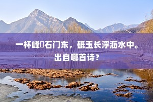 果得故人来对饮，何妨一笑到金莲。的意思及出处