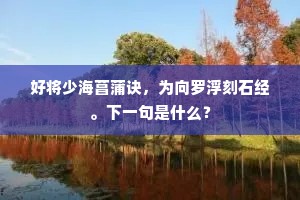 追蠡难陈力，华鲸不奏功。的意思及出处