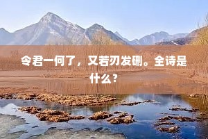 豁达偏怜我，风流更许谁。上一句是什么？