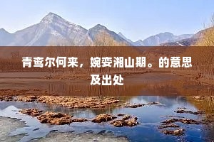 百年心迹岁寒同，却忆南山旧松柏。全诗是什么？