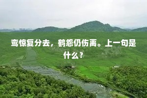 古来共感叹，今予益吞声。下一句是什么？