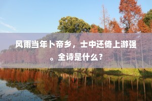 疾风暴雨的释义