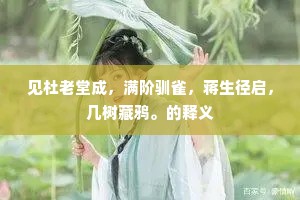 青春逝水，无可挽回的珍贵