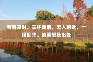 疾雷不及塞耳的解释