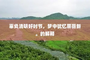 扬鞭大散关头日，曾看中原万里春。全诗是什么？