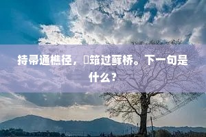 自由之殇，滥用与失落的双重枷锁