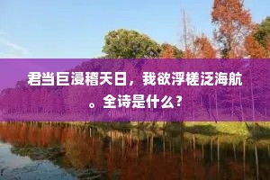共必迩于海岳之故庐。如曰易砚山之宝储，的意思及出处