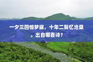 道德之光，自由灵魂的守护剑，穿透世俗迷雾