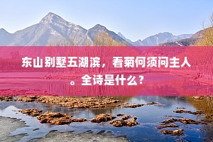 智慧之光，解锁自由之魂——塞内加箴言下的生活觉醒