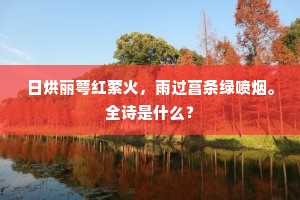 疾风暴雨的释义