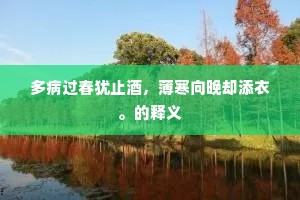 流星刹那，人生炽烈 —— 短暂亦辉煌的生命哲学