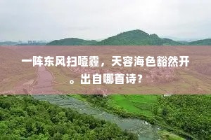 计日以期的解释