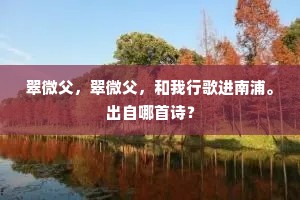 夹七夹八的解释