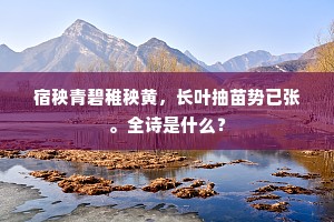 金华仙客此幽寻，为爱潇湘云气深。下一句是什么？