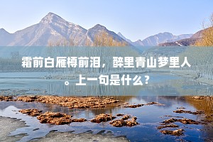 所及交情无皂白，且欣师训炳丹青。下一句是什么？