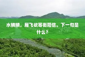 家长里短的解释