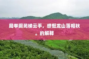 我为逐日力已磨，疲足瘫躯过漯河。下一句是什么？