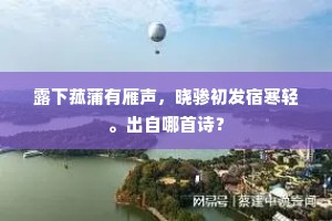 臣于四美安能备，虚受先皇不世知。的解释