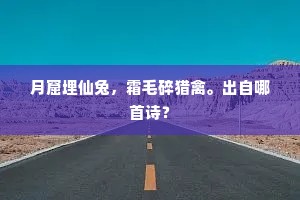 只沿堤剩有，残阳疏影，出自哪首诗？